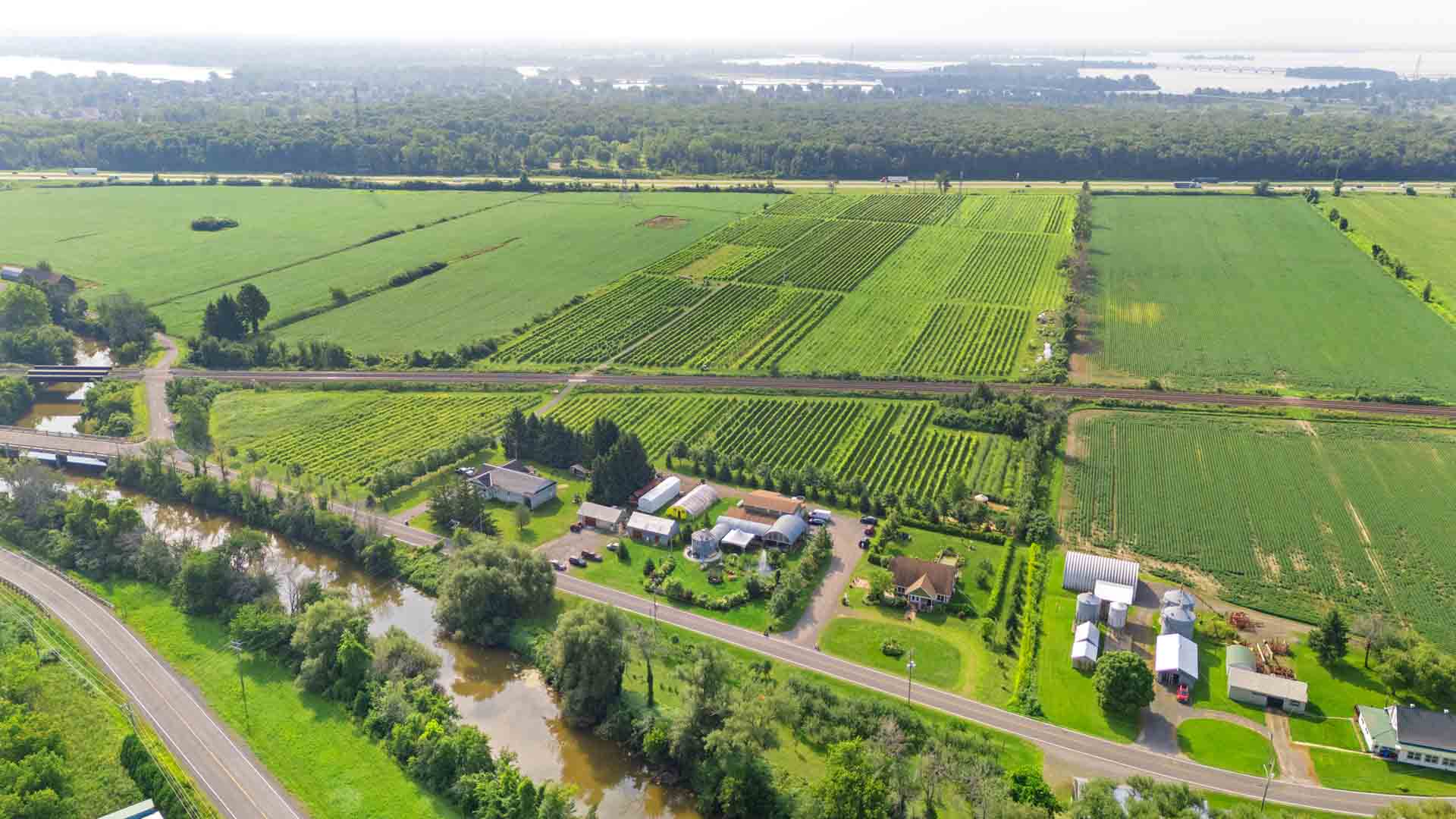 Vignoble de Pomone