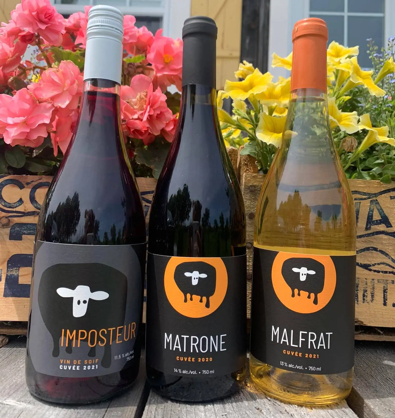 Vente de la marque Vignoble du Mouton Noir