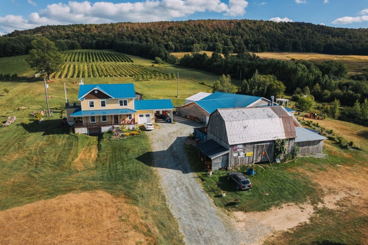 Vignoble en Estrie