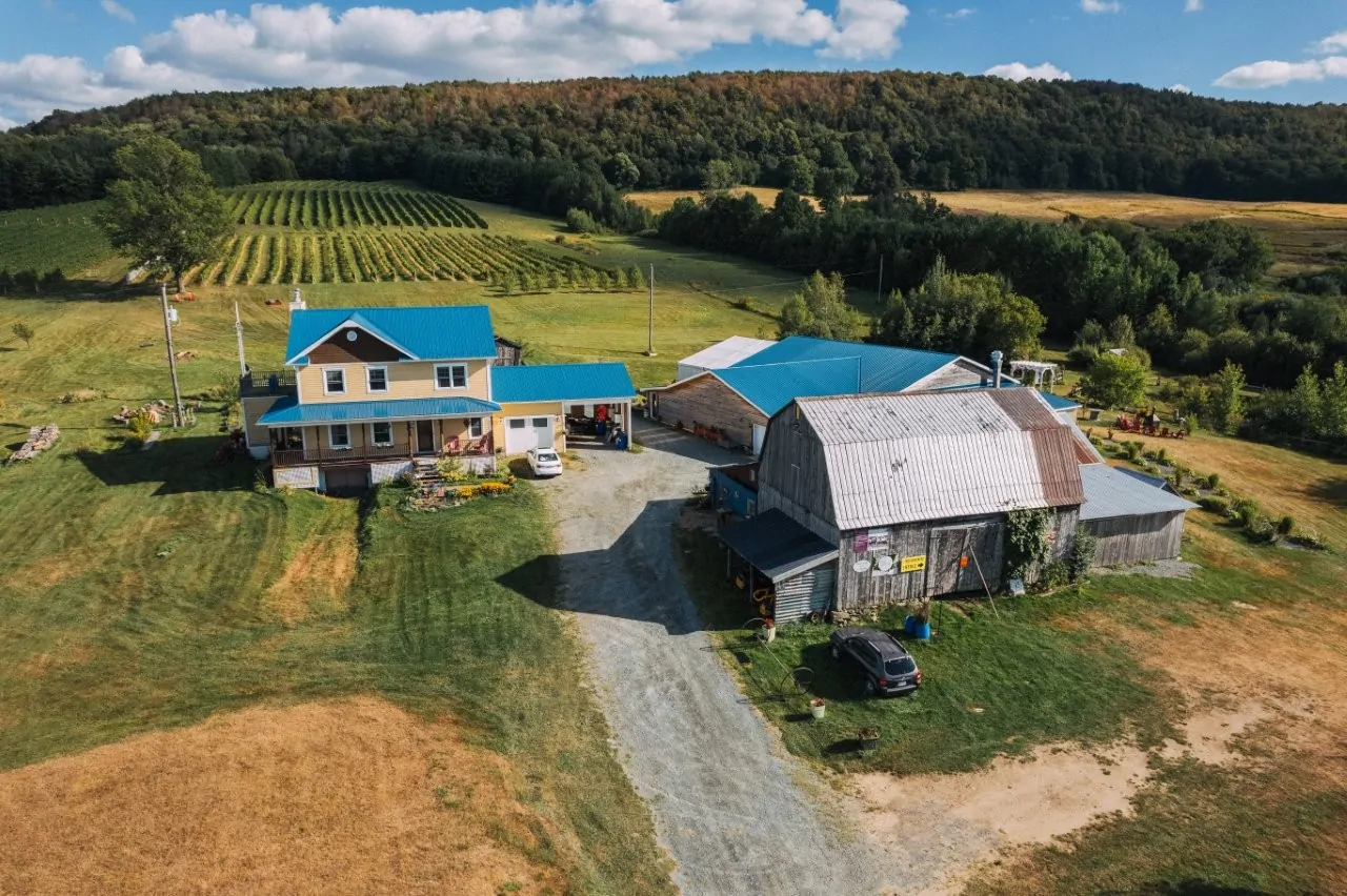 Vignoble en Estrie