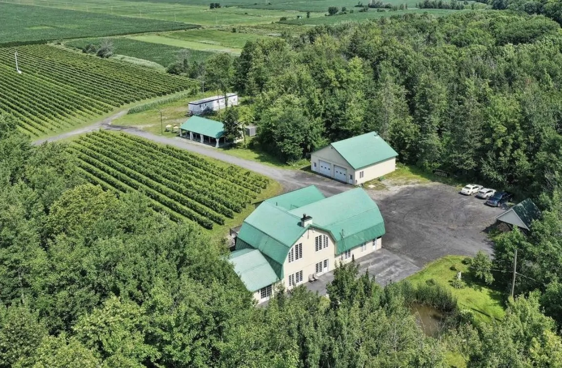 Vignoble à vendre en Montérégie