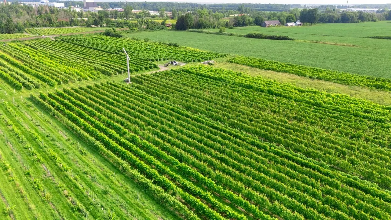 Vignoble à vendre à Coteau-du-Lac
