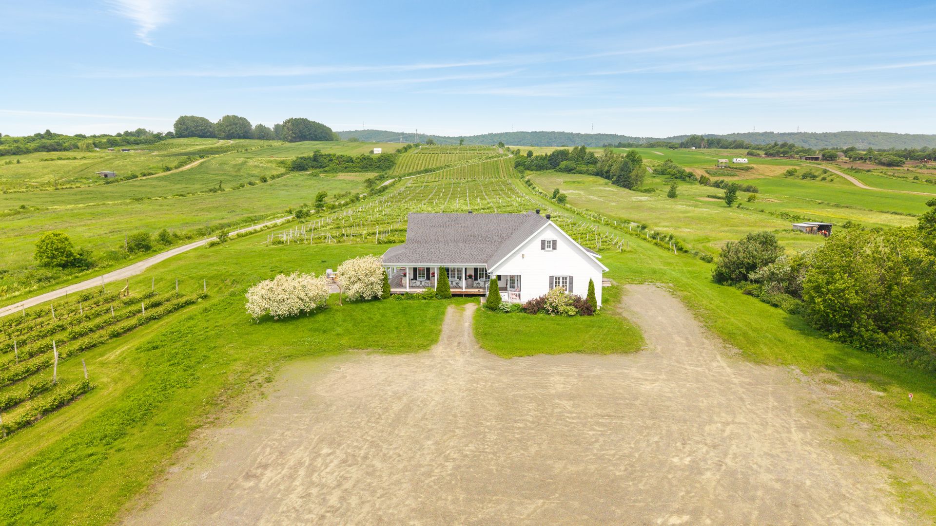 Vignoble établi à vendre près de Québec au bord du fleuve