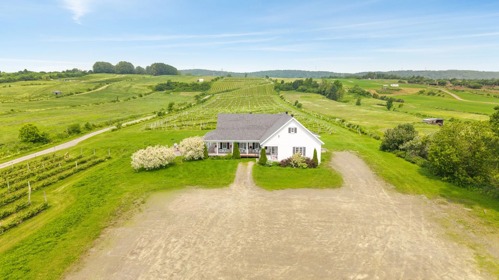 Vignoble établi à vendre près de Québec au bord du fleuve